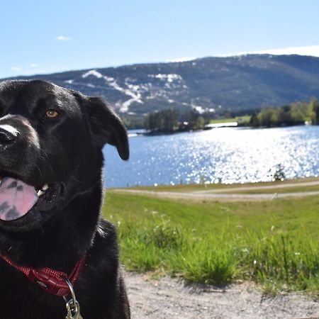 Ferienhaus Fjellblikken Sinnes Esterno foto
