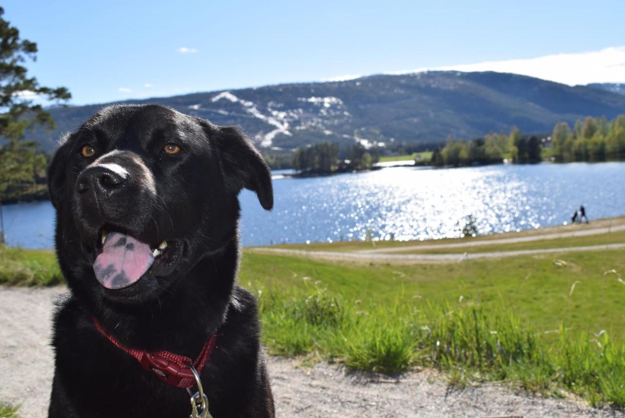 Ferienhaus Fjellblikken Sinnes Esterno foto