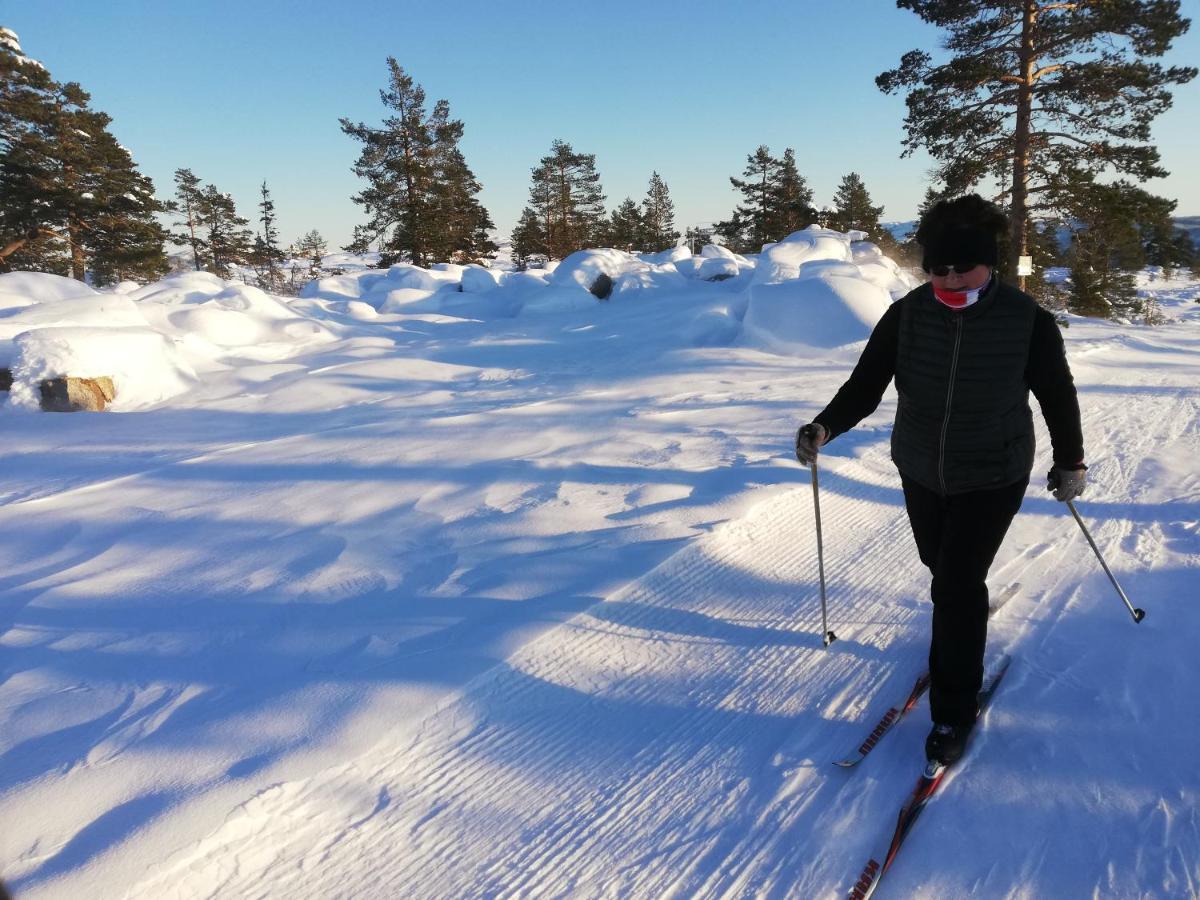 Ferienhaus Fjellblikken Sinnes Esterno foto